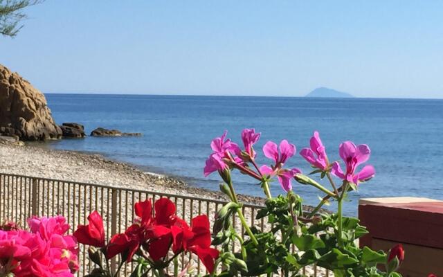 Museo Albergo d'Arte Contemporanea Atelier Sul Mare