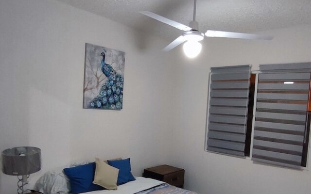 Apartamento  Pez cofre