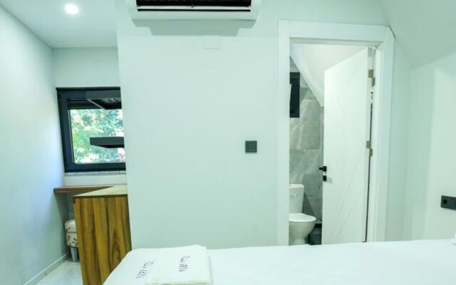 Tinyhouse Arya Ortaca