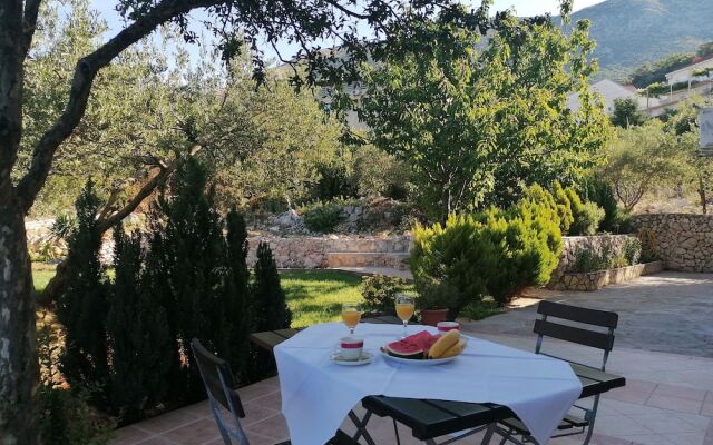 Guesthouse Oliva