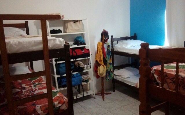 Hostel Viva La Vida