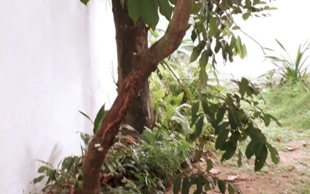 Villa Subuthi