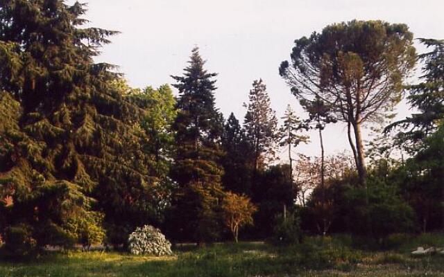 Bed & Breakfast Camomilla