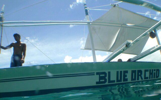 The Blue Orchid Resort