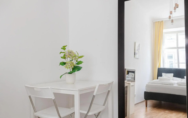 Big Apt in Viennas Center - Perfect for Longstays