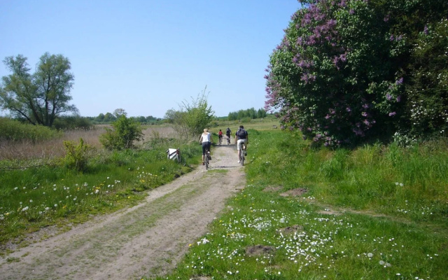 Flat on Rugen for 2 Adults and 2 Children