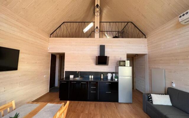 Barn S&S House
