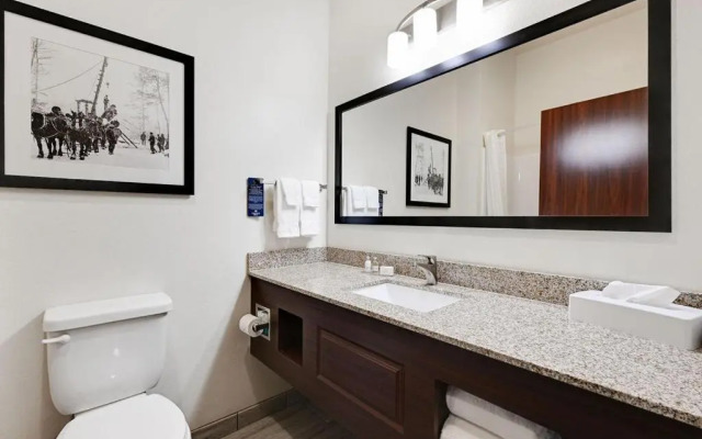 Cobblestone Hotel & Suites - Mosinee