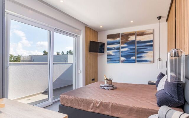 Villa Athos Novigrad (Istra)
