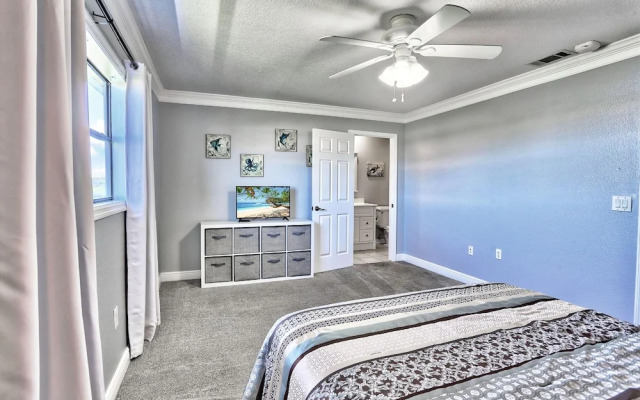 Sea Shell 28