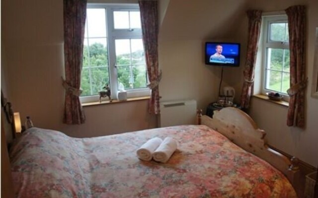 Bryn Goleu B&B