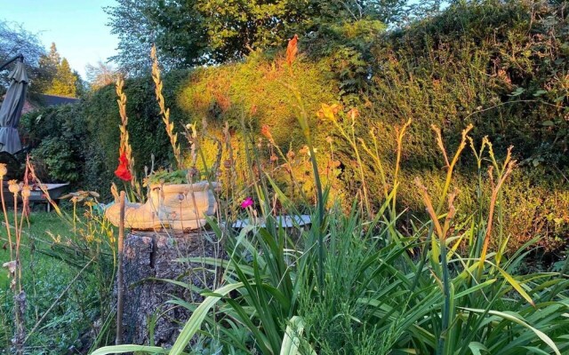 Studio/lickey Hills/near Attractions/garden/petok