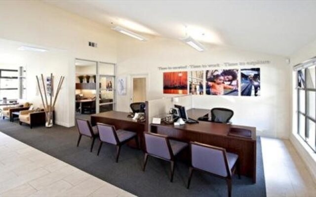 Avalon Mountain View