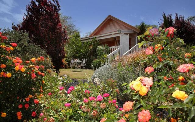 The Beautiful Cabins