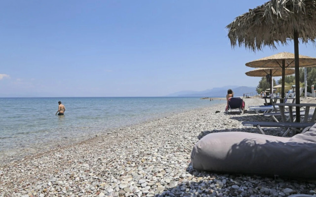"exotic Studio at Oliva Holiday Homes"