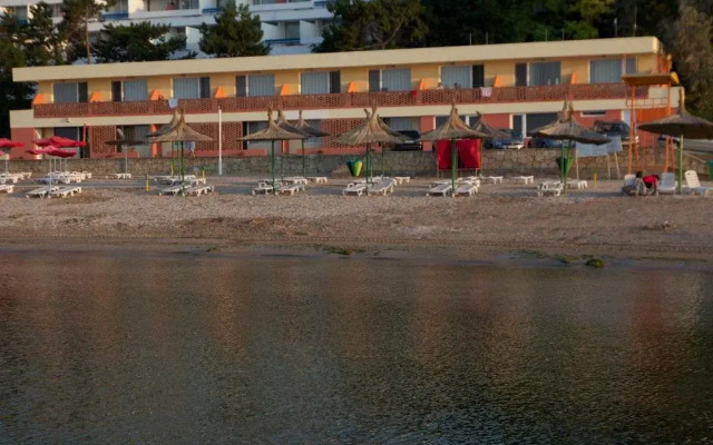 Egreta