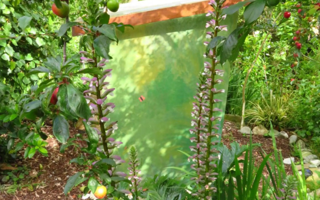 Omarama Oasis - Permaculture Glamping