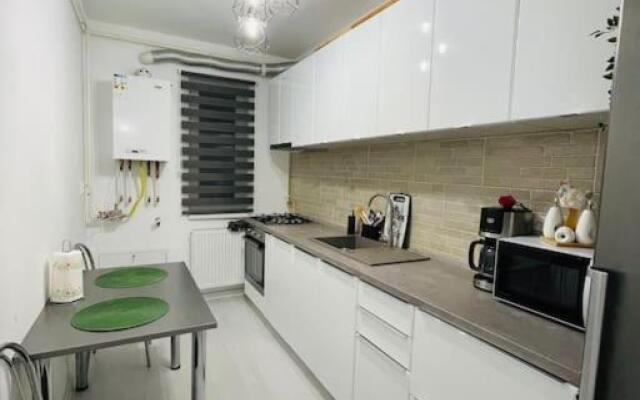 Apartament Modern Ioana