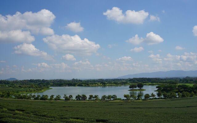 Singha Park Chiang Rai Camping