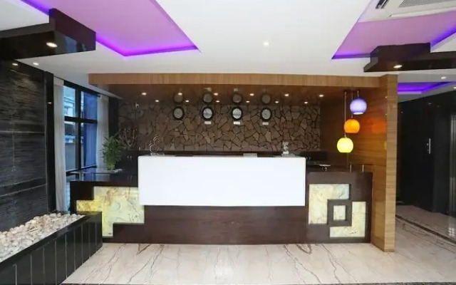 Dolphin Chocolate Inn