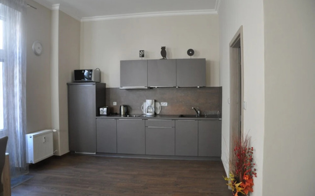 Apartment No. 41 Koptova 5 (Čertův ostrov)