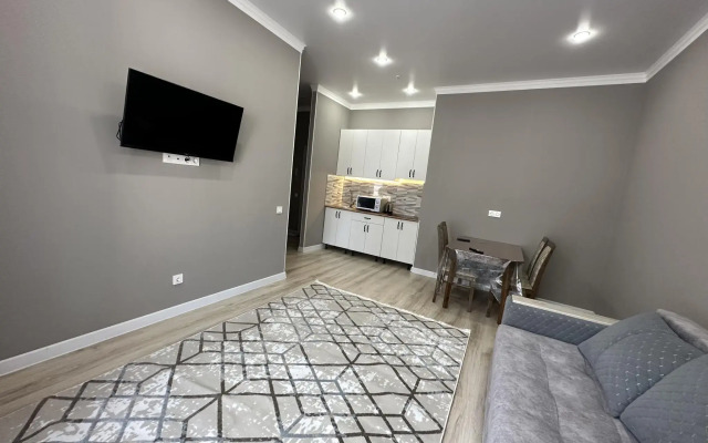 Apartments on 46/4 Turan Avenue