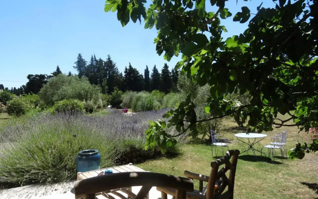Le Nid de la Huppe