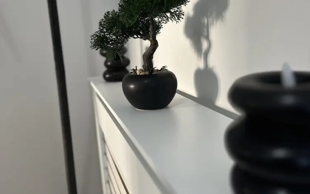 Spacious 2BR City Center Apartment