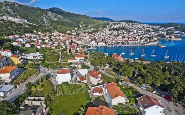 Violeta Hvar