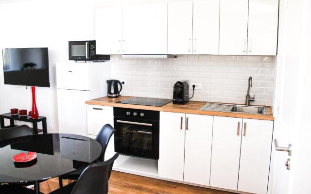 Grand T1 Moderne Jardin près de CDG