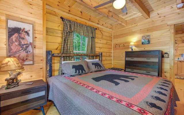 Beary Nice to Meet You!