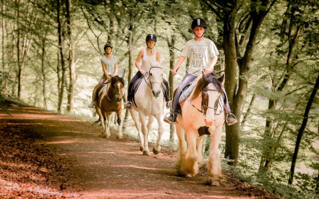 Nengshof - Haus Ehrenpreis
