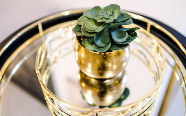 Stay With Empire- Dickson Road