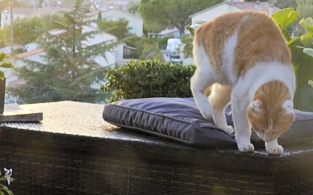 Au Jardin Des Couleurs