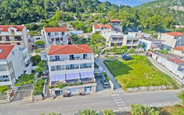 Violeta Hvar