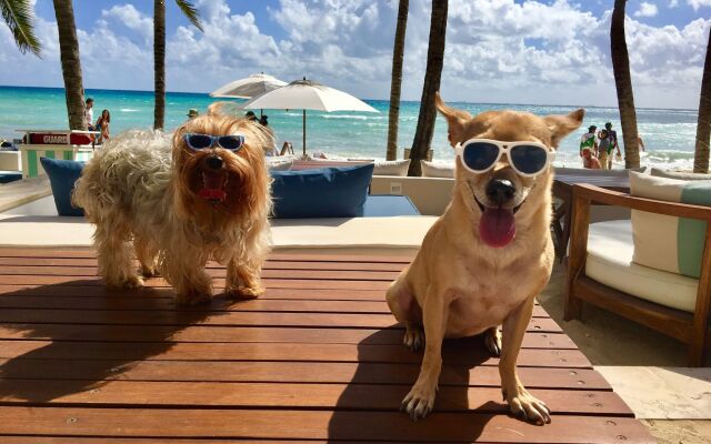 Thompson Playa Del Carmen Beach House