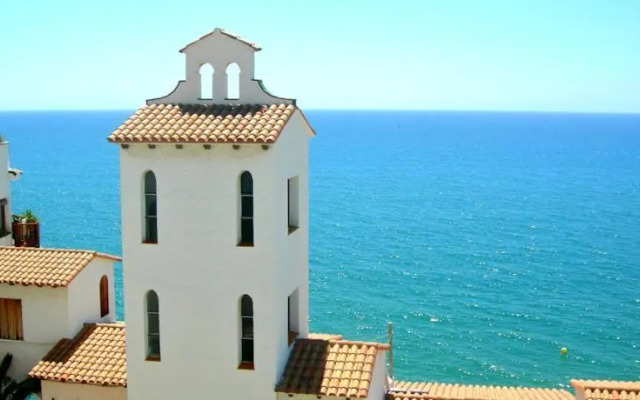 Gaviota Y Vora Mar