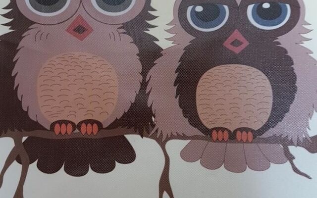 Жилое помещение Wood Owl