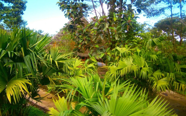 Huasquila Amazon Lodge