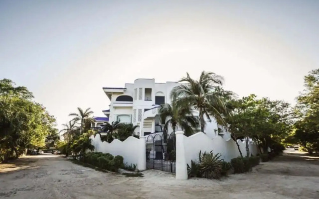 Natz Ti Ha F301 by NAS