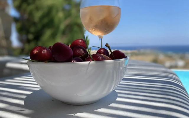 Luxurious Villa Oasis in Paros