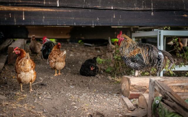 Hesla Farm