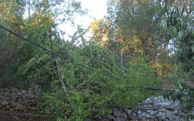 Villa Conte in Salento