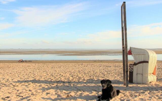 Westerheide Modern Retreat