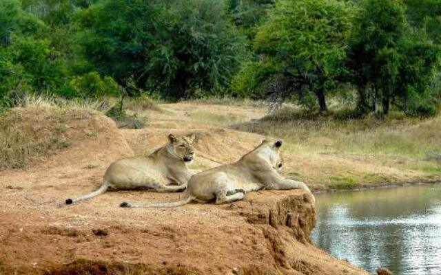 Inyanga Safari Lodge