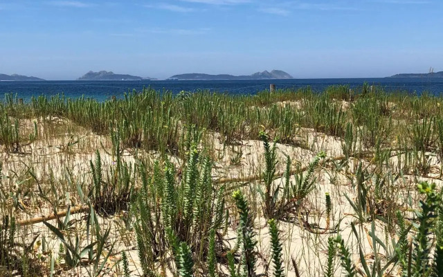 Samil55