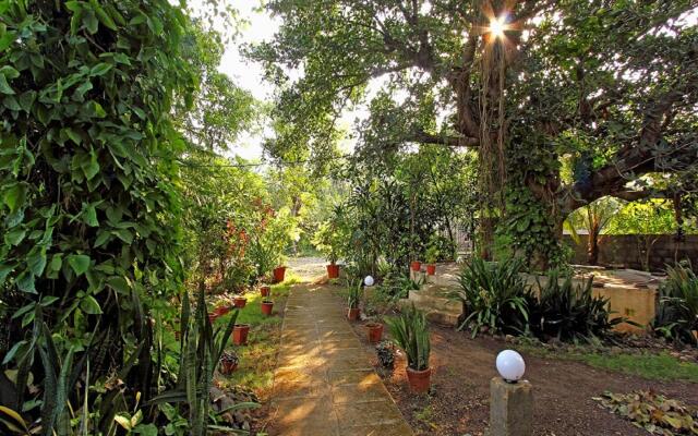 Gir Birding Lodge