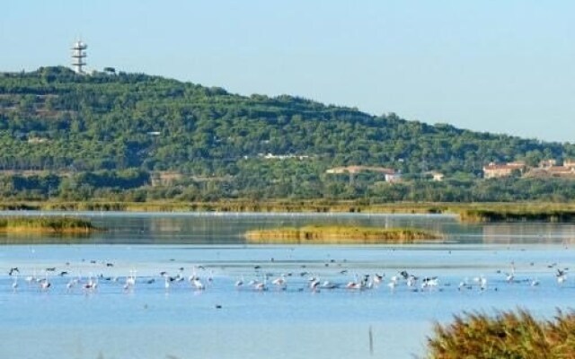 Savanna Beach I - Inh 31341