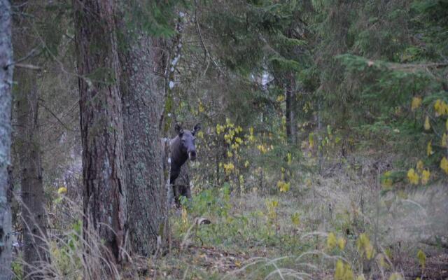 Little Forest House near the river Jägala