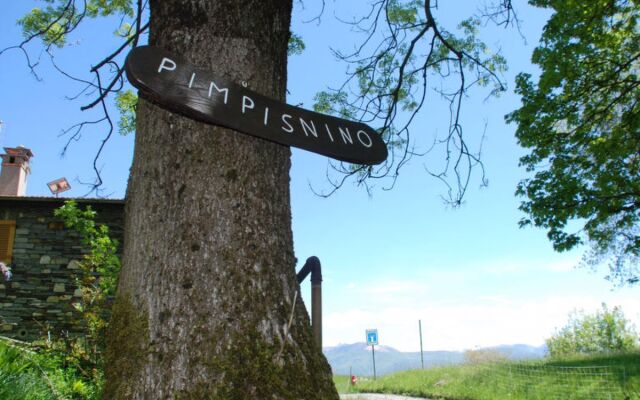 Pimpisnino Brissago in Brissago